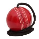 Hanging Cricket Ball for Traning, Knocking and Practice – Hanging Ball with Rope Threaded in Seam