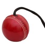Hanging Cricket Ball for Traning, Knocking and Practice – Hanging Ball with Rope Threaded in Seam