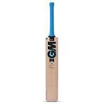 GM Diamond 101 Kashmir Willow Cricket bat, Mens