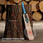 GM Diamond 101 Kashmir Willow Cricket bat, Mens