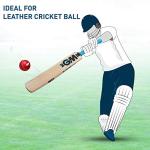 GM Diamond 101 Kashmir Willow Cricket bat, Mens