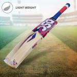 DSC Intense Zeal Kashmir Willow Cricket Bat - Harrow