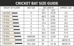 DSC Intense Zeal Kashmir Willow Cricket Bat - Harrow