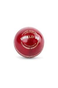 SG Club Red Leather Cricket Ball - Standard Size