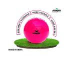 jaspo T20 Plus Practice Cricket Balls Pack of 3 for Indoor Outdoor Play,Weight 125-1 30 GMS, Colour Pink, Synthetic Rubber Material