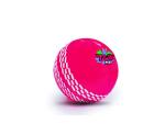 jaspo T20 Plus Practice Cricket Balls Pack of 3 for Indoor Outdoor Play,Weight 125-1 30 GMS, Colour Pink, Synthetic Rubber Material