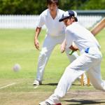 Luxylei Cricket Balls for Training, Coaching, 4 Pcs Soft Cricket Ball with Hand Stitched Seam Practice & Excellent Bounce Skills for All Age