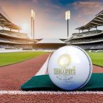 CHENDLA SPORTS V9A 4 Panel Cricket Leather Ball - Adult Size White