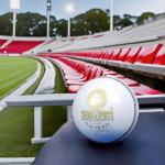 CHENDLA SPORTS V9A 4 Panel Cricket Leather Ball - Adult Size White