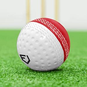 FORTRESS Reverse Swing Cricket Balls - Red/White & Pink/White Balls (Pack of 1, Red/White)