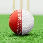 FORTRESS Reverse Swing Cricket Balls - Red/White & Pink/White Balls (Pack of 1, Red/White)