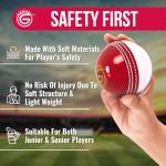 Soft Rubber Cricket Ball for Practice | Outdoor & Indoor Practice Cricket Ball with Core & Stitched Seam | Realistic Feel, True Bounce & Swing for Practice, Honing Skills & Family Fun (1-Red&White)