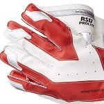 SG RSD Prolite Wicket Keeping Gloves