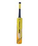 Puma City Cricket Bat - FS (4, Chennai City)