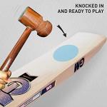GM Chroma 707 English Willow Short Handle Cricket Bat Size-Mens, Wooden