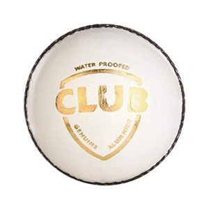 SG Club Leather White Cricket Ball - Four Pitch