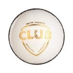 SG Club Leather White Cricket Ball - Four Pitch
