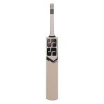SS Kashmir Willow Cricket Bat - Power Edition