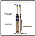 SS Super Power Short Handle Kashmir Willow Bat