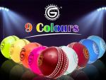 Soft Rubber Cricket Ball for Indoor/Outdoor Practice