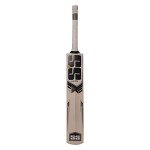 SS Kashmir Willow Cricket Bat - Power Edition