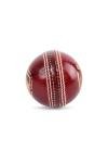 SG Bouncer Leather Cricket Ball for Adults