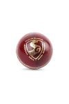 SG Bouncer Leather Cricket Ball for Adults