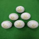 CHENDLA SPORTS Super County 4 Panel Cricket Leather Ball - Adult Size White (6)
