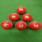 CHENDLA SPORTS V9A 4 Panel Cricket Leather Ball - Adult Size Red (6)