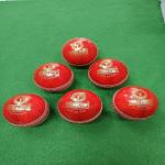CHENDLA SPORTS V9A 4 Panel Cricket Leather Ball - Adult Size Red (6)