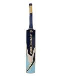 Puma City Cricket Bat - FS (3, Gujarat City)
