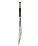 Puma City Cricket Bat - FS (3, Gujarat City)