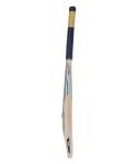 Puma City Cricket Bat - FS (3, Gujarat City)