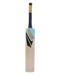 Puma City Cricket Bat - FS (3, Gujarat City)