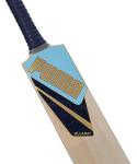 Puma City Cricket Bat - FS (3, Gujarat City)