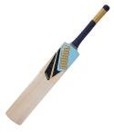 Puma City Cricket Bat - FS (3, Gujarat City)