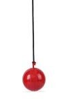 SG Synthetic I Cricket Hanging Ball for Practice