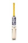 Skihi SS Kashmir Willow Cricket Bat with Cover