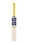 Skihi SS Kashmir Willow Cricket Bat with Cover