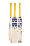 Skihi SS Kashmir Willow Cricket Bat with Cover