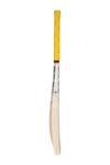 Skihi SS Kashmir Willow Cricket Bat with Cover