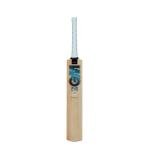 Gunn & Moore GM Cricket Bat | Ben Stokes Diamond 202 BS55 | Beginner Grade 1 Kashmir Willow | Harrow Size Suitable for Players 163-168cm / 5' 4" - 5' 6"