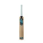 Gunn & Moore GM Cricket Bat | Ben Stokes Diamond 202 BS55 | Beginner Grade 1 Kashmir Willow | Harrow Size Suitable for Players 163-168cm / 5' 4" - 5' 6"