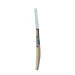 Gunn & Moore GM Cricket Bat | Ben Stokes Diamond 202 BS55 | Beginner Grade 1 Kashmir Willow | Harrow Size Suitable for Players 163-168cm / 5' 4" - 5' 6"
