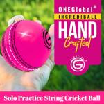 ONEGlobal Incrediball Soft String Cricket Ball | Outdoor and Indoor Soft Hanging Cricket Ball for Practice | for Footwork, Timing and Solo Training (1-Pink)