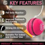 ONEGlobal Incrediball Soft String Cricket Ball | Outdoor and Indoor Soft Hanging Cricket Ball for Practice | for Footwork, Timing and Solo Training (1-Pink)