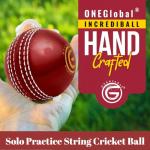 ONEGlobal Incrediball Soft String Cricket Ball | Outdoor and Indoor Soft Hanging Cricket Ball for Practice | for Footwork, Timing and Solo Training (1-RED)