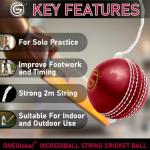 ONEGlobal Incrediball Soft String Cricket Ball | Outdoor and Indoor Soft Hanging Cricket Ball for Practice | for Footwork, Timing and Solo Training (1-RED)