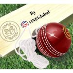 ONEGlobal Incrediball Soft String Cricket Ball | Outdoor and Indoor Soft Hanging Cricket Ball for Practice | for Footwork, Timing and Solo Training (1-RED)