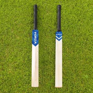 FORTRESS Technique Cricket Bat [3 Sizes] | Hand-Eye Coordination – Batting Practice Drills (Short Handle)